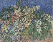 Vincent Van Gogh Blossoming Chestnut Branches (nn04) Germany oil painting reproduction